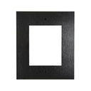 CONTROL4 C4-DS2MINIFP-BL Placca DS2 Mini da incasso Black